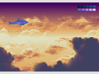 Ecco the flying dolphin