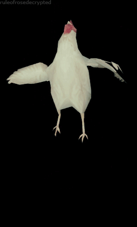 Rule of Rose Chicken 1.gif