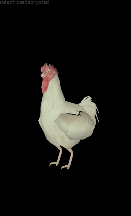 Rule of Rose Chicken 4.gif