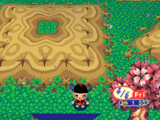 Animalforest fieldtest1pit.png