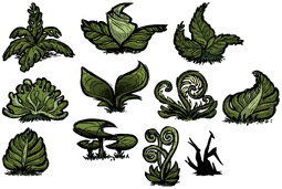 Ds cave ferns.png