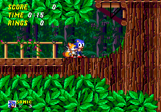 Sonic2 Wood Aug21.png