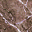 OoT object spira texture.png