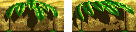 DK64 map26 archleaves.png