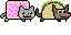 Nyan and taco hat.png