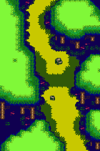 Naroom Forest Exit UNUSED2.png