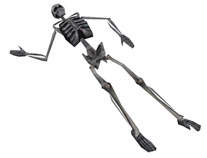Hl skeleton.png