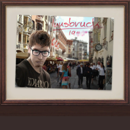 BMS-pictureframe04 skin4.png