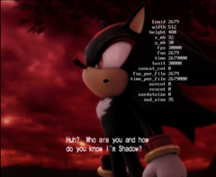 E1001.sfd when played through the SFD Player debug menu in Shadow the Hedgehog, GameCube USA