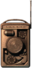 Bioshock Radio Icon.png