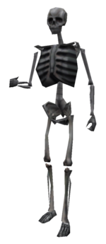 Hl skeleton FD model.png