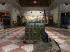 CODMW2-Debug-DrawFPS1.png