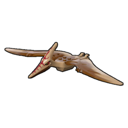 LW PTERANODON PTERA02 DX11.png