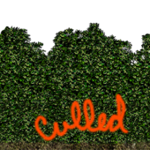 MOHAA - m3l3hedgerowsml culled.png