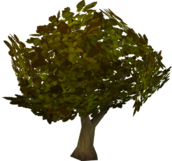 SHAR l5z1 tree.png