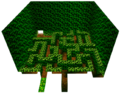 DK64-hedgemaze.png