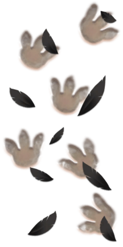 AHatIntime bird footprints turn(Current).png